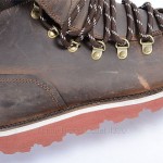 COLE HAAN 8 cigar brown leather NIKE AIR HUNTER hiker ankle boot plaid shoe $228