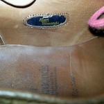 Allen Edmonds Big Sur wingtip 10 . New. Cole Haan $275 retail