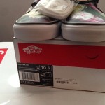 In Hand! Offer UP! Supreme Vans PCL CHUKKA Size 10.5 floral liberty era sk8 hi