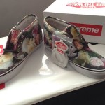 In Hand! Offer UP! Supreme Vans PCL CHUKKA Size 10.5 floral liberty era sk8 hi