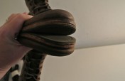 T2eC16FyME9s5qFQWBRQlgRE4cg60_1