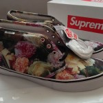 In Hand! Offer UP! Supreme Vans PCL CHUKKA Size 10.5 floral liberty era sk8 hi