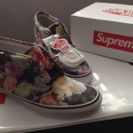 In Hand! Offer UP! Supreme Vans PCL CHUKKA Size 10.5 floral liberty era sk8 hi