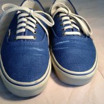 Hemp Authentic Vans Sz11