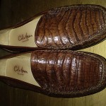 Cole  Haan  Crocodile  Loafers      8.5   Meduim