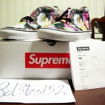 Supreme NYC x Vans PCL Power, Corruption, Lies Chukka 9.5 DS NEW