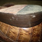 Cole  Haan  Crocodile  Loafers      8.5   Meduim