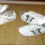 Lot of Diesel Mens Shoes sz 10 – 6 Pair!    SIX PAIR!