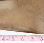 ► COLE HAAN NIKE AIR ◄ Mens US 10 Brown marble leather casual loafer driving Moc