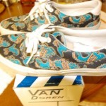Vans Van Doran Vanasour Shoe Sz 11 w/ box