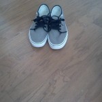 vans sneakers