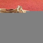 Clarks Originals Desert Kahn Taupe Distressed 9m
