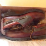 Men’s Timberland Shoes “Hommes” Size 11 MIB!!!!!!!