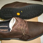 TIMBERLAND CONCOURSE BUCK PTO Shoes Men’s Size 10M US Brown NIB $110