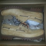 Timberland Earth Keepers size 14
