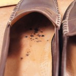Cole Haan Brown Leather Loafers 12 Men’s Casual Shoes
