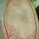Excellent Perfect Summer 10M Cole Haan Oxford 3 Eye Blutcher Mens Leather Shoes