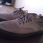 MENS VANS