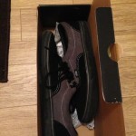 Black/Gargoyle Era Vans