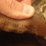 Men’s Cole Haan Driving Loafers 11 Brown