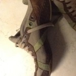 Mens Diesel Casual Shoes Tan And Green Size U S 9