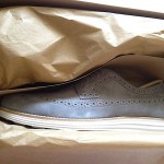 NwB Cole Haan LunarGrand Long Wingtip Kudu Suede Lime Stone SoHo C11867 8.5M