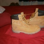 timberland  size 10 wheat used