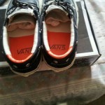 Vans Del Barco Lo Lx Sz.8 AND Nike Sb Classic SZ.8