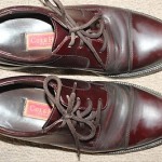 Cole Haan waterproof cordovan leather oxfords, size 9 M,