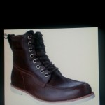 Boot (Dark Brown Smooth) Timberland – Earthkeepers