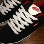 vans hosoi