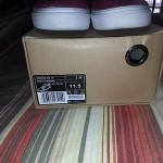 Vans Wtaps Burgundy Bones Chukka