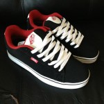 vans hosoi
