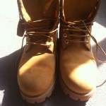 timberland 6 inch premium