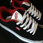 vans hosoi