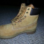 Timberland Premium 6″ Boot Wheat Mens 10.5 Excellent Condition