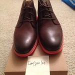 Brand New Mens Cole Haan Lunargrand Chukka CHSTNT/CAROTENE Size 10 C11719