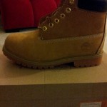 Timberland premium mens 11 boots