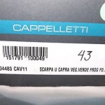 NIB CAPPELLETTI Green Leather Wing Tip Shoes 10 – 10.5 (It. 43) Italy Cole Haan