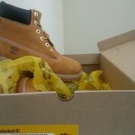 timberland 6 waterproof boot wheat