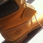 timberland 6 inch premium