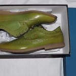 NIB CAPPELLETTI Green Leather Wing Tip Shoes 10 – 10.5 (It. 43) Italy Cole Haan