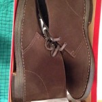 clarks desert boots 9.5