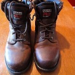 Timberland Pit Boss 10W