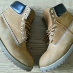 Timberland 6 inch premium