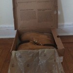 Timberland 6 inch premium boots Size 11 Brand New Worn Once