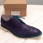 Cole Haan Men’s LEATHER Shoes Air Franklin Wing OCEAN SUEDE 12M NEW
