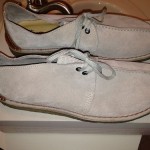 Clarks Desert Trek