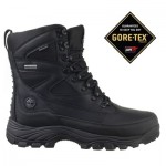 NEW SIZE 8 MEN Timberland Tree 8 Inch Chocorua Boot Style: 53101 BLACK GORE-TEX
