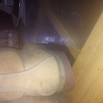 Timberland Boots (Size 14)